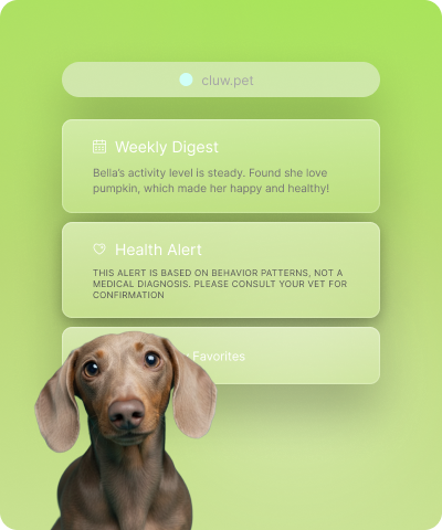 How it works visual 4